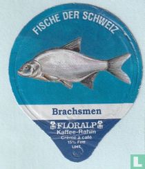 Brachsmen