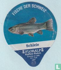 Schleie