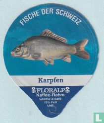 Karpfen