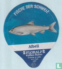 Albeli