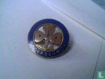 Groepscomite (Scouting)