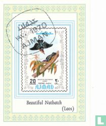 Oiseaux exotiques