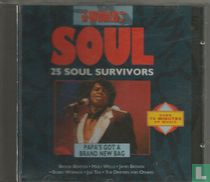 Soul. 25 Soul Survivors