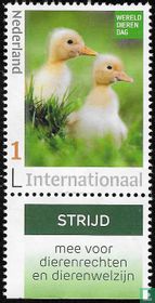 World Animal Day