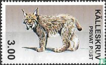 Lynx