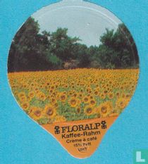 Sonnenblumen