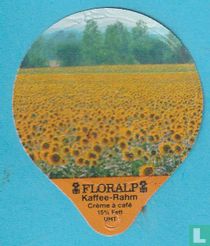Sonnenblumen