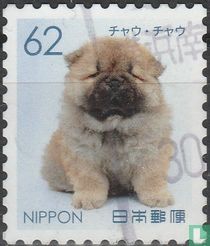 Chiens