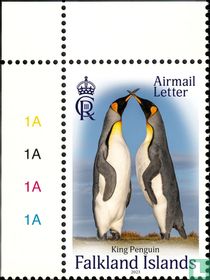 King Penguins