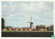Zuidzande - korenmolen