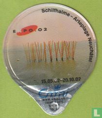 18 Schilfhaime Arteplage Neuchâtel