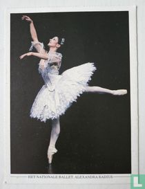 Het Nationale Ballet