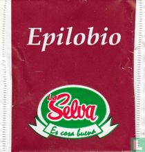 Epilobio
