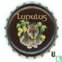 Lupulus 