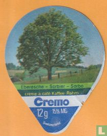 Eberesche-Sorbier-Sorbo