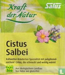 Cistus Salbei  