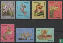 Orchids