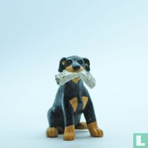 Kurt (Doberman)