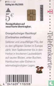 Orangefuchsiger Raukopf - Pilz des Jahres 2002