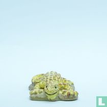 Gecko