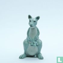 Grey Kangaroo
