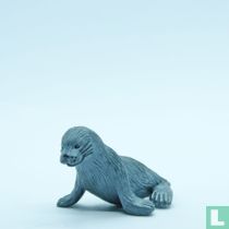 New Zealand Fur Seal