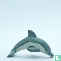 Bottlenose Dolphin