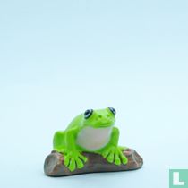 Green Tree Frog