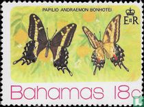 Bahaman Swallowtail