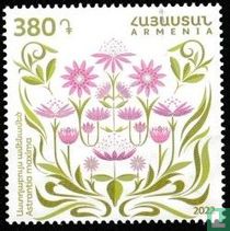 Astrantia maxima
