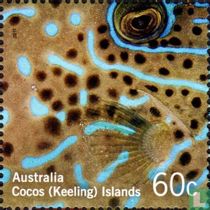 Colors of the coral reef 