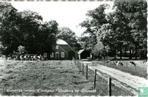 Landelijk schoon Landgoed Woldberg bij Steenwijk