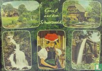Gruß aus dem Schwarzwald