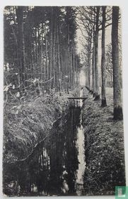 Greppel Mastbosch, Ginneken