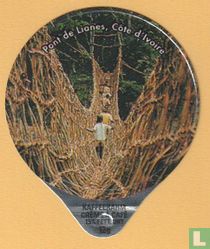 Pont de Lianes, Côte d'Ivoire