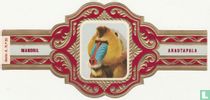 Mandril