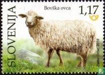 Animaux de la ferme