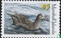 Animaux marins