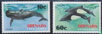 Mammifères Marins