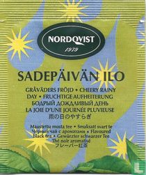 Sadepäivän Ilo