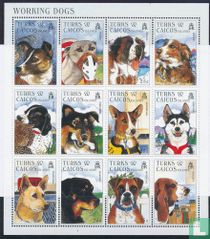 Chiens
