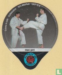 Mae geri