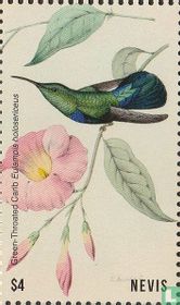 Hummingbirds