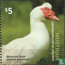 Ducks