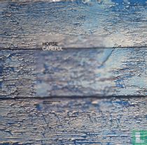 Careful (The 12" Mixes)