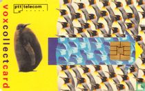 Vox Collect Card PTT Telecom Event