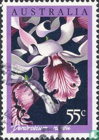 Orchidées