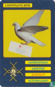communicatie - postduif