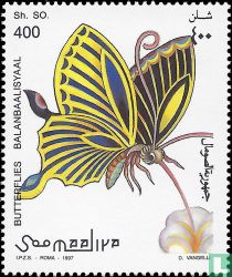 Decorative Butterflies