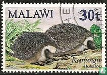 Petits animaux